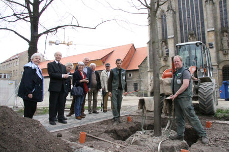 Baumpflanzung Domhof, 25.04.2013