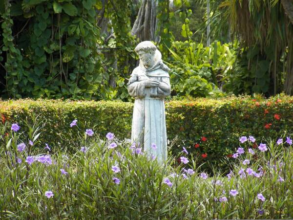 Eine Statue des hl. Franziskus von Assisi inmitten von Blumen und Bäumen