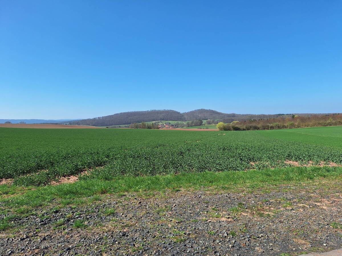 Blauer Himmel, Natur
