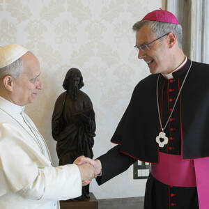 Papst Leo XIV. begrüßt Bischof Dr. Heiner Wilmer SCJ mit Handschlag.